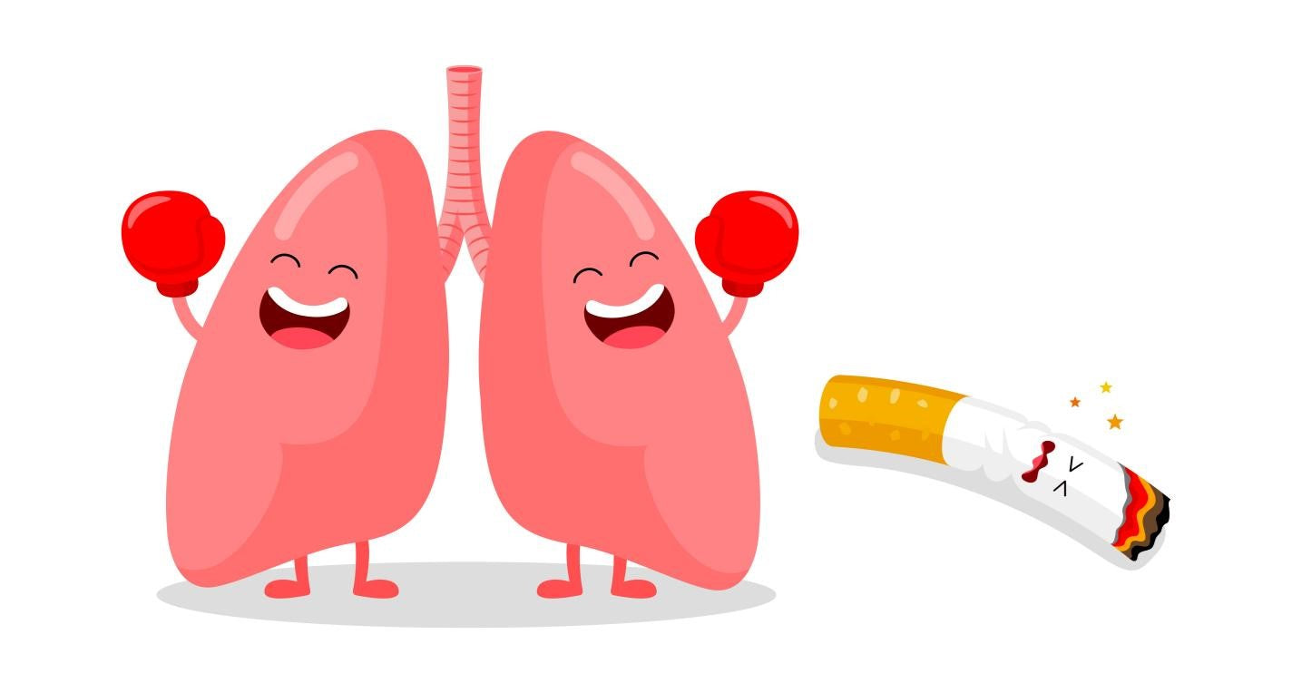 Do lungs heal themselves after quitting smoking?