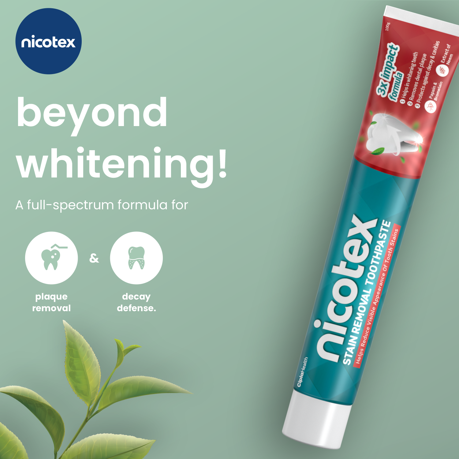 best toothpaste to remove tobacco stains Nicotex Stain Removal Toothpaste best toothpaste to remove tobacco stains Nicotex Stain Removal Toothpaste